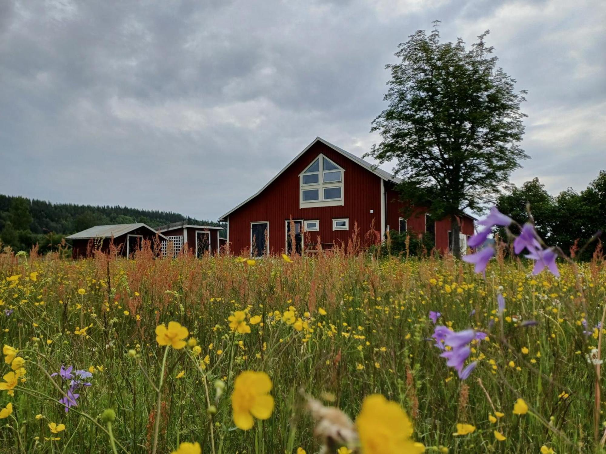 Ladansloft Appartement Stöllet Buitenkant foto